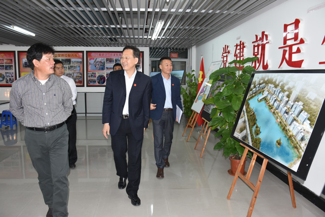 市领导参加民森公司党支部主题党日活动